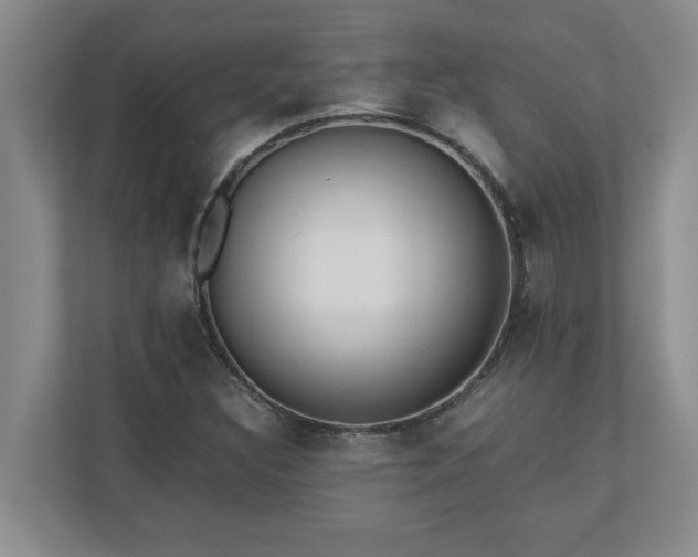 X0000110771308200906221134