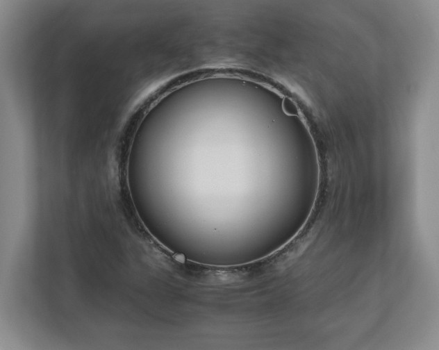 X0000110771311200906221134