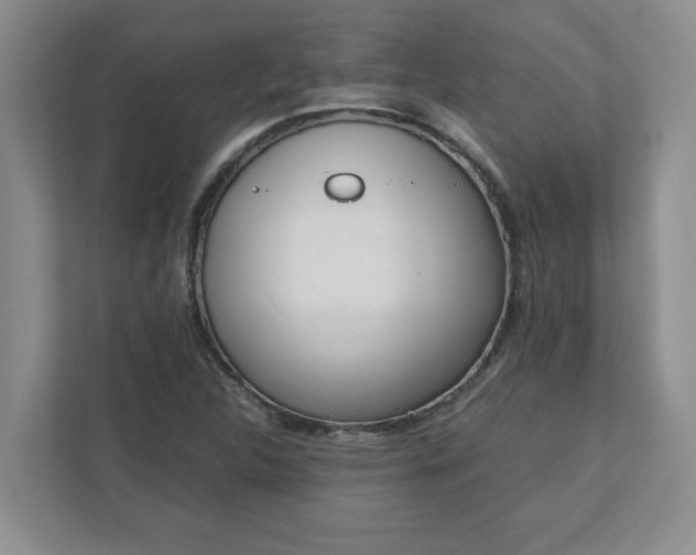 X0000110771312200906221134