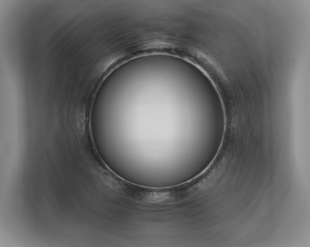 X0000110771313200906221134