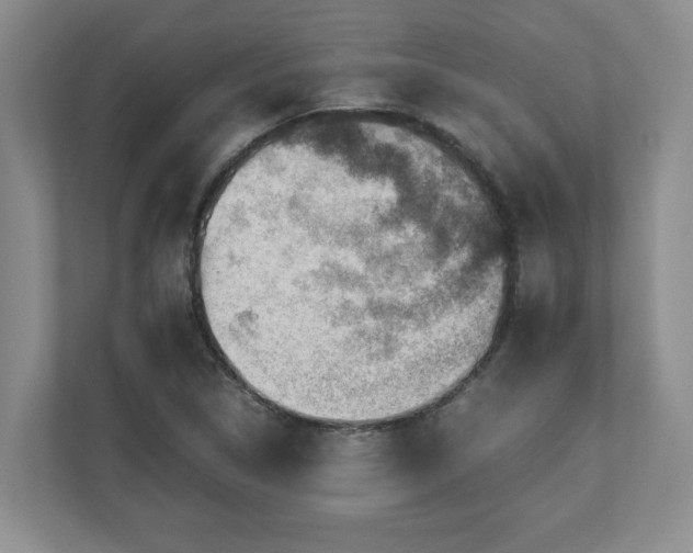 X0000110771314200906221134