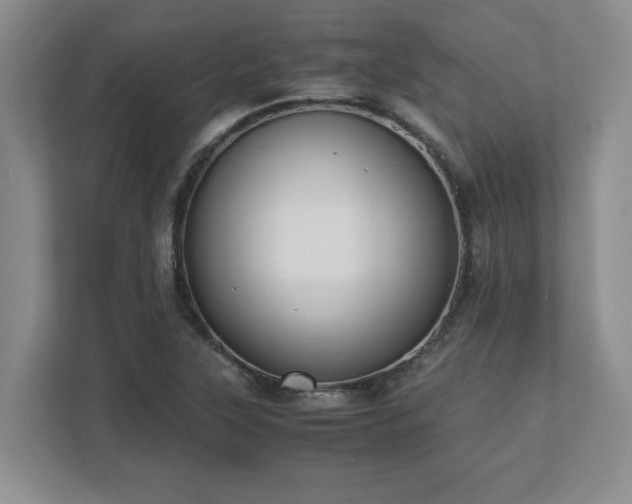 X0000110771315200906221134