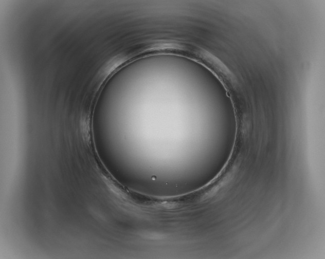 X0000110771321200906221134