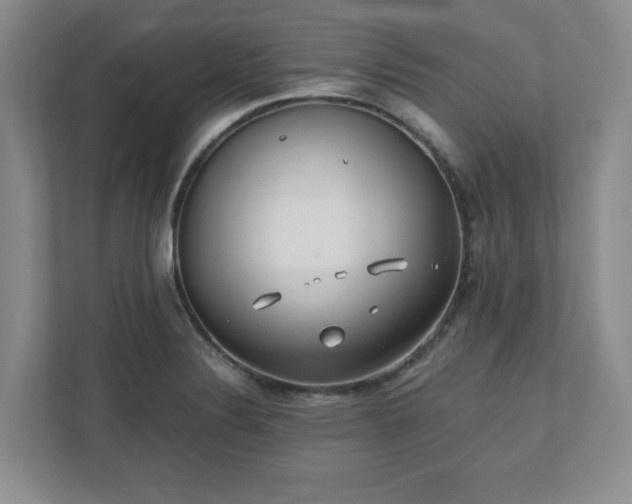 X0000110771324200906221134