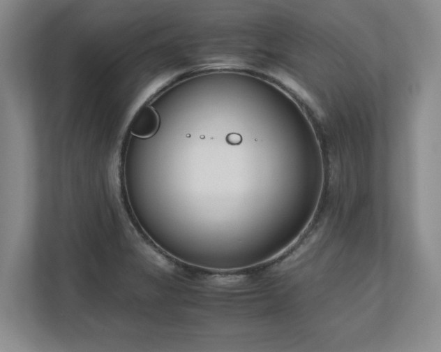 X0000110771325200906221134