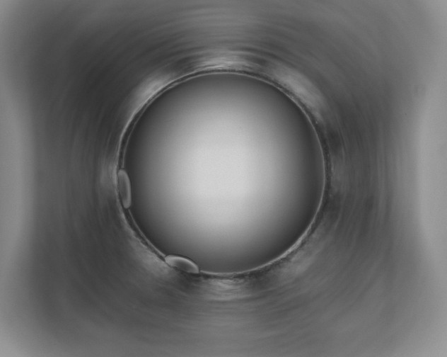 X0000110771330200906221134