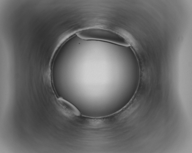 X0000110771332200906221134