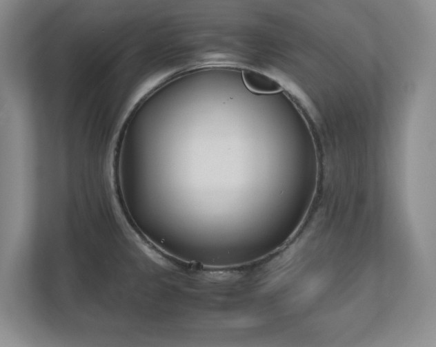 X0000110771333200906221134