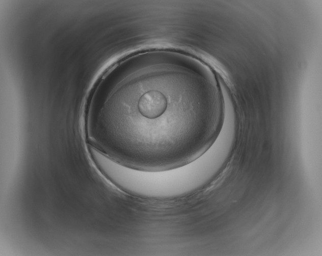 X0000110771334200906221134