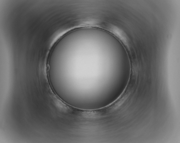 X0000110771336200906221134