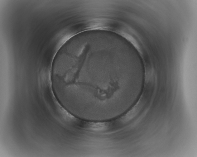 X0000110771338200906221134