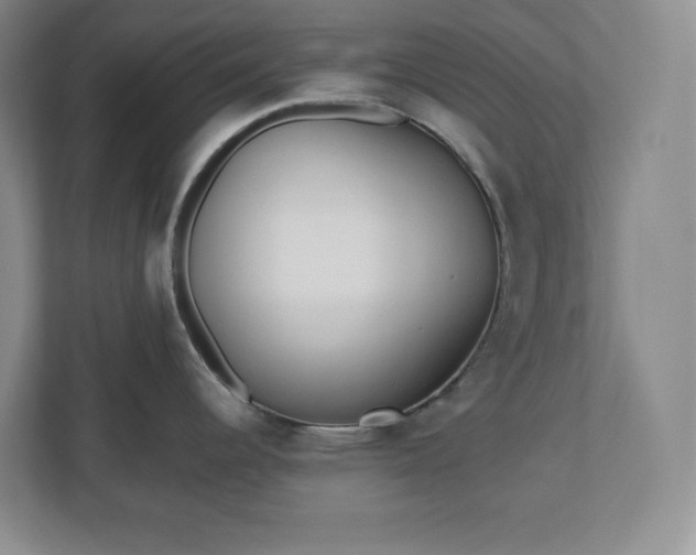 X0000110771344200906221134