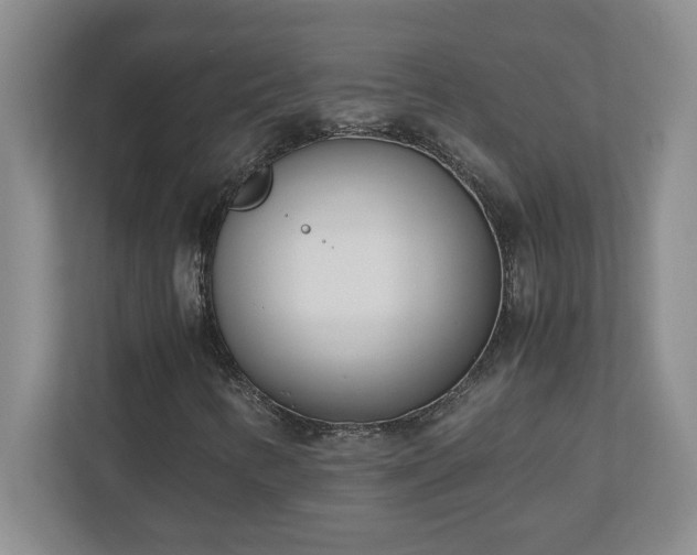 X0000110771346200906221134