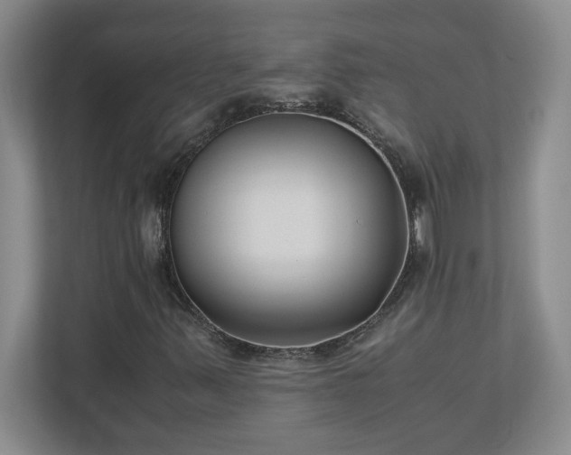 X0000110771347200906221134