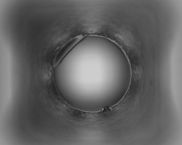 X0000110771349200906221134