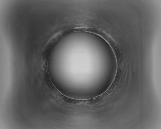 X0000110771351200906221134