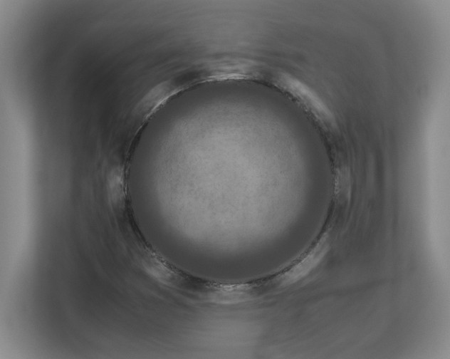 X0000110771353200906221134