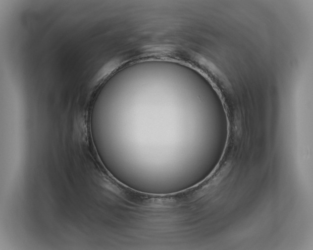 X0000110771354200906221134