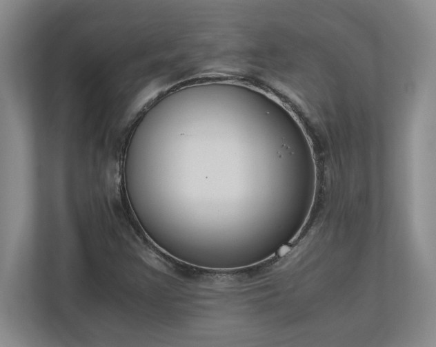 X0000110771355200906221134