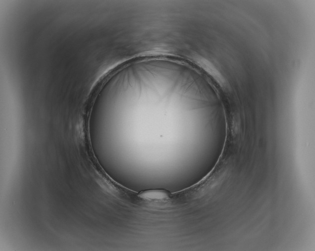 X0000110771356200906221134