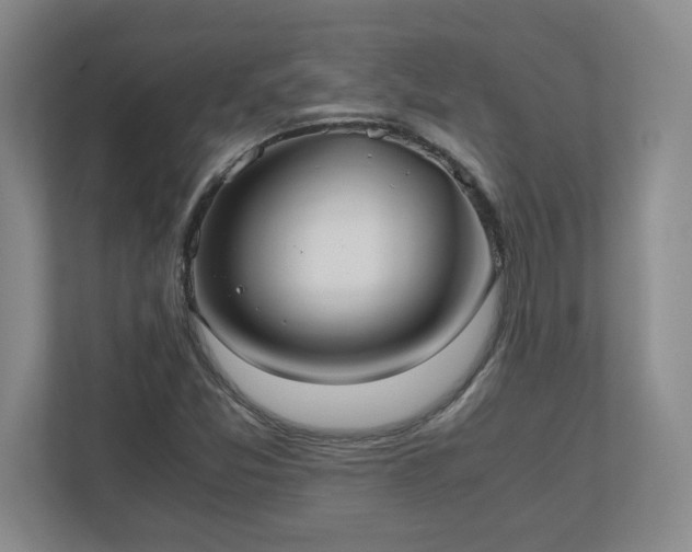 X0000110771357200906221134