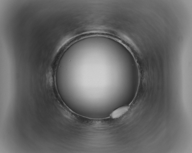 X0000110771360200906221134