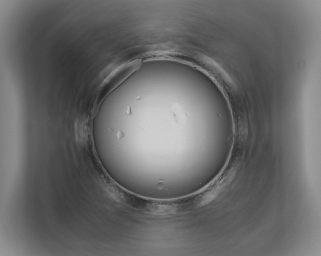 X0000110771361200906221134