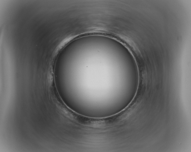 X0000110771363200906221134