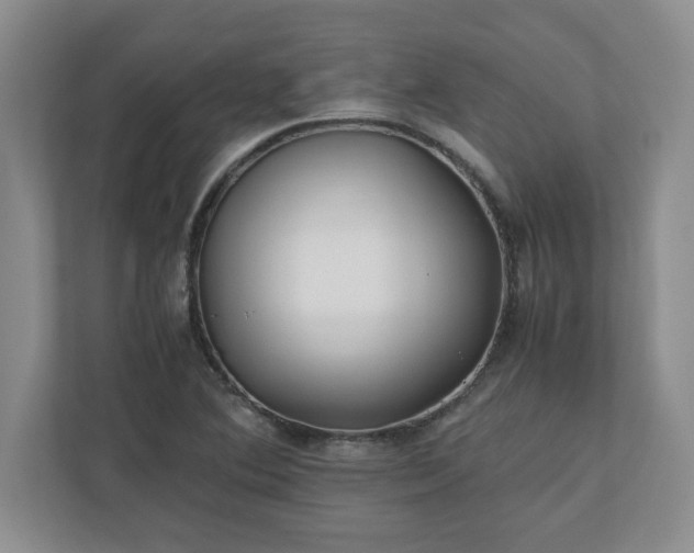 X0000110771364200906221134