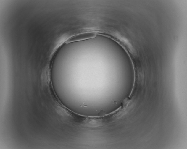 X0000110771365200906221134