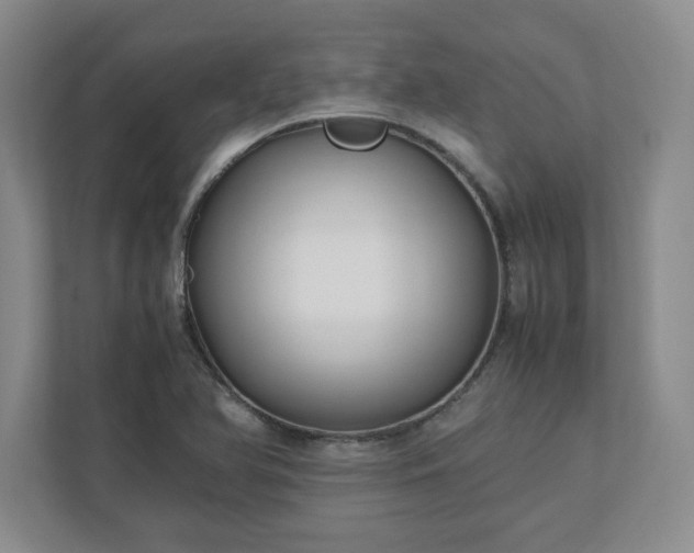 X0000110771366200906221134