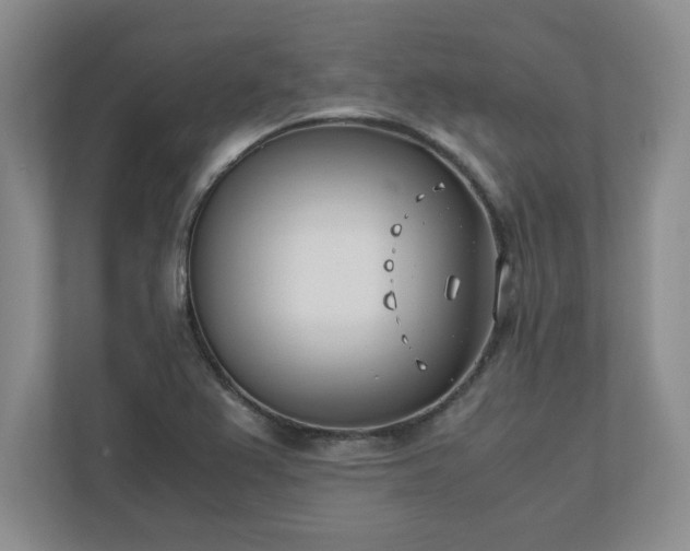 X0000110771367200906221134