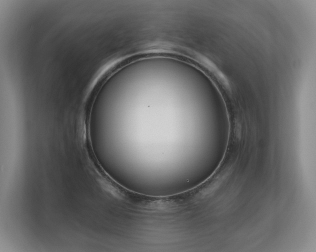 X0000110771368200906221134