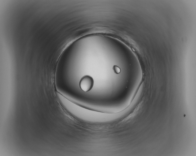 X0000110771369200906221133