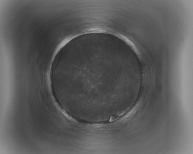 X0000110771373200906221133