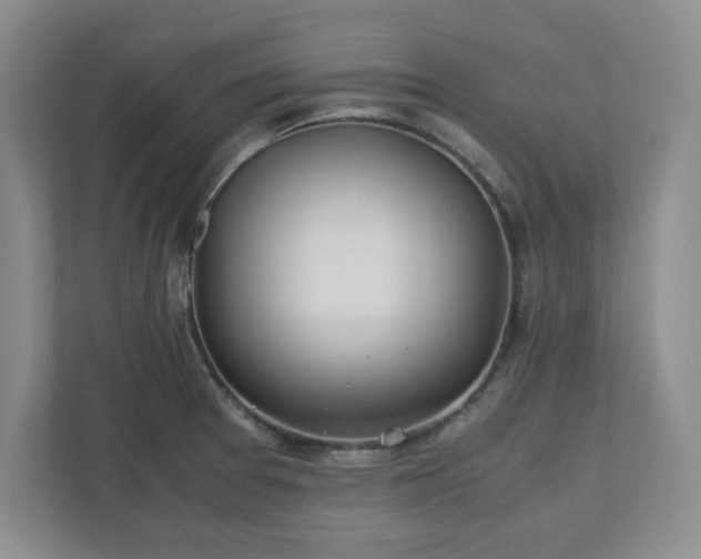 X0000110771377200906221133