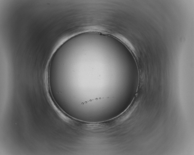 X0000110771391200906221133