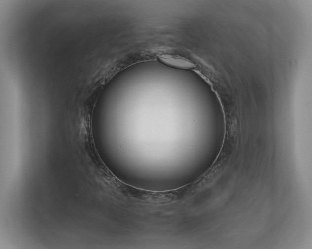 X0000110771397200906221133