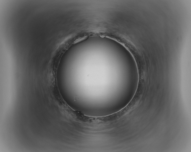 X0000110771398200906221133