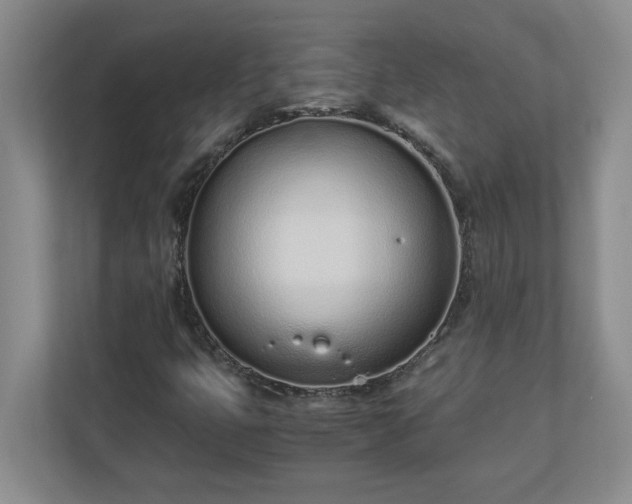 X0000110771399200906221133