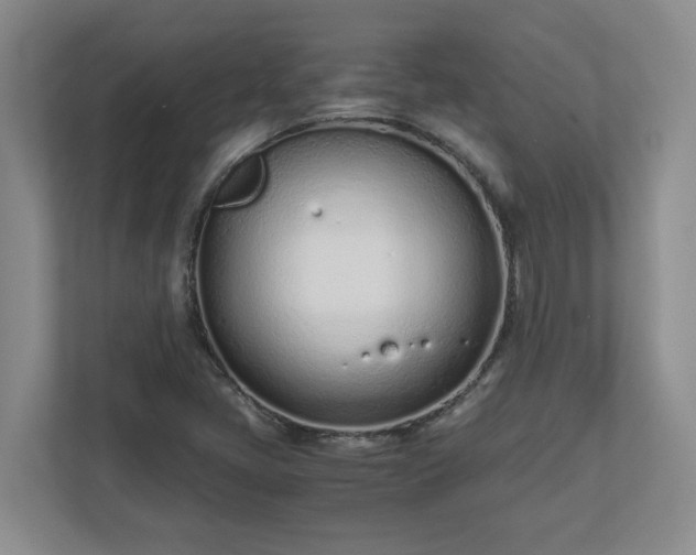 X0000110771405200906221133