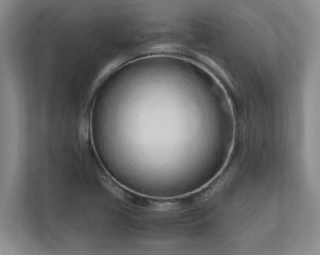 X0000110771413200906221133