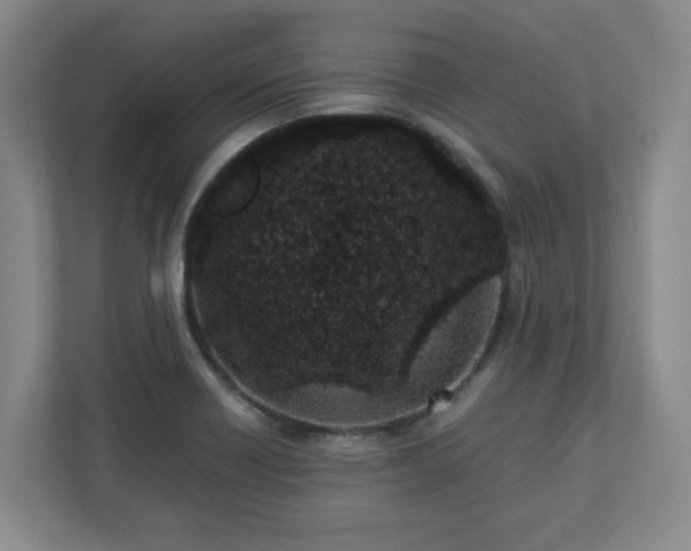 X0000110771418200906221133