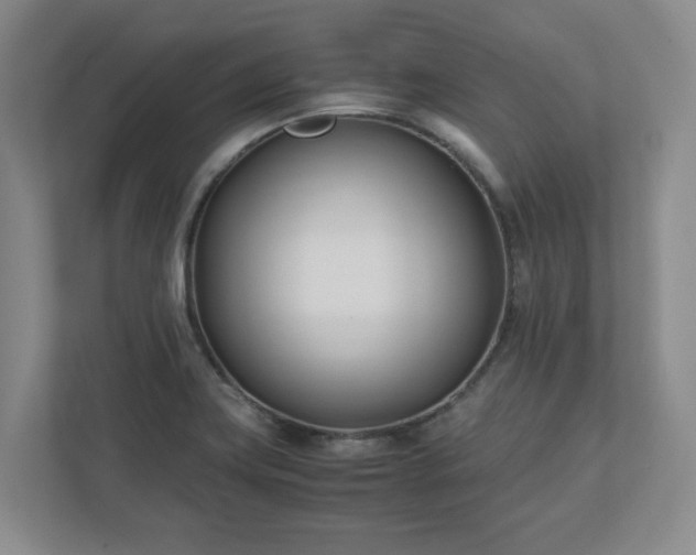 X0000110771419200906221133