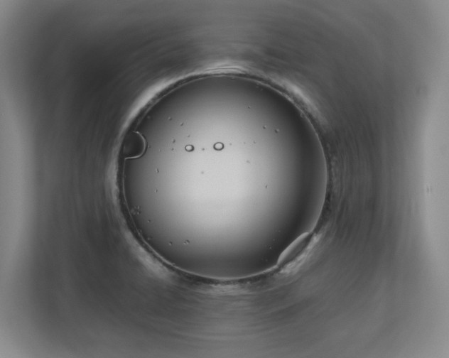 X0000110771422200906221133