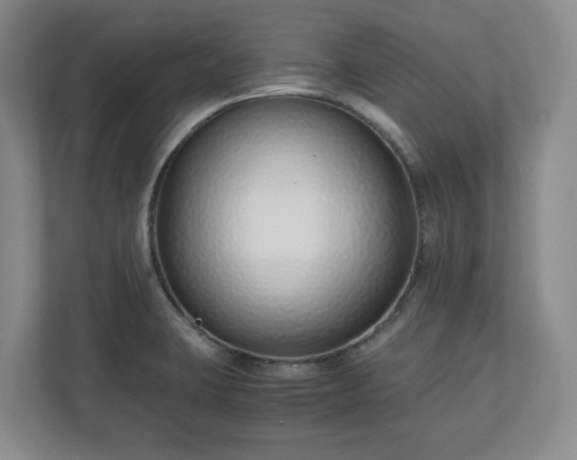 X0000110771423200906221133