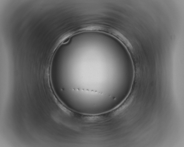 X0000110771425200906221133