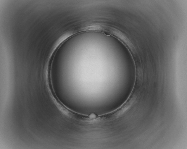 X0000110771426200906221133