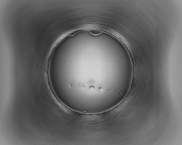 X0000110771429200906221133