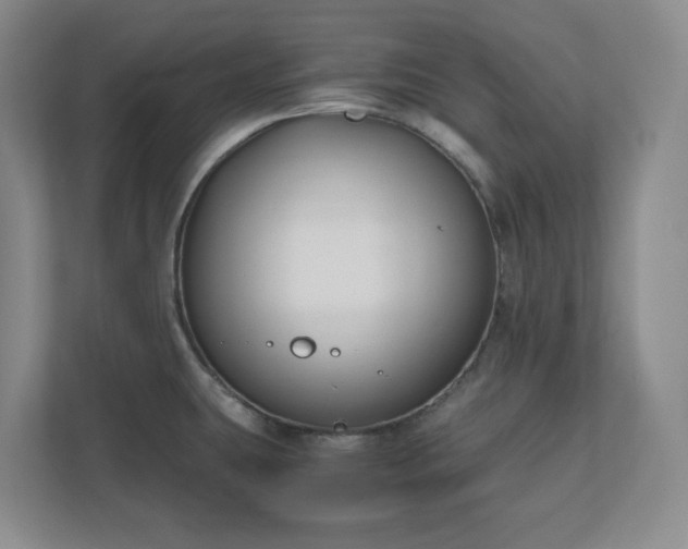 X0000110771431200906221133